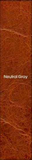 Neutral Gray　ニュートラルグレイ … 今を感じるニューコンテンポラリースタイル。