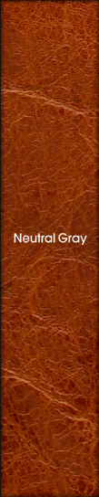 Neutral Gray ニュートラルグレイ … 今を感じるニューコンテンポラリースタイル。